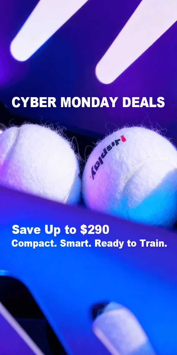 Cyber Monday Sale